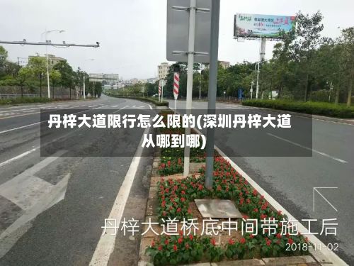 丹梓大道限行怎么限的(深圳丹梓大道从哪到哪)