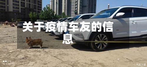 关于疫情车友的信息-第2张图片