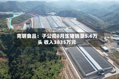 克明食品：子公司8月生猪销量5.6万头 收入3835万元-第2张图片