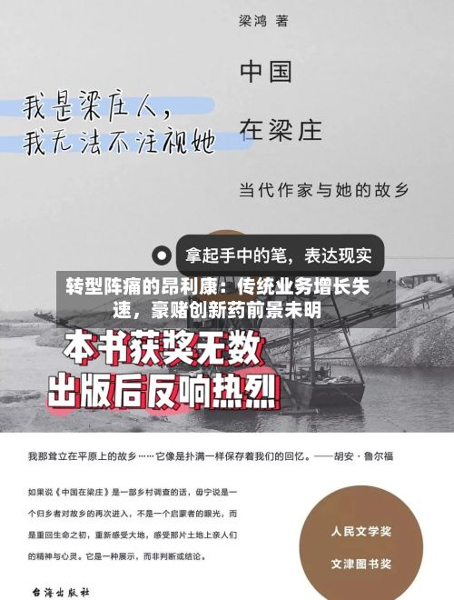 转型阵痛的昂利康:传统业务增长失速,豪赌创新药前景未明
