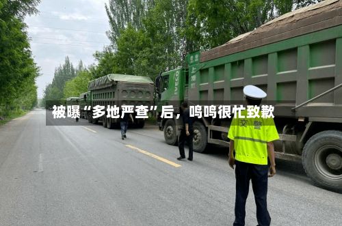 被曝“多地严查”后,鸣鸣很忙致歉