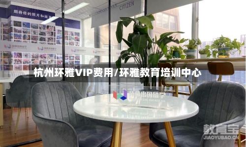 杭州环雅VIP费用/环雅教育培训中心-第2张图片