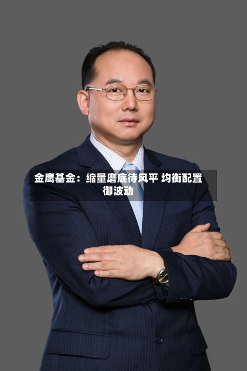 金鹰基金:缩量磨底待风平 均衡配置御波动-第3张图片