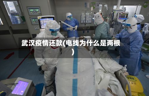 武汉疫情还款(电线为什么是两根)