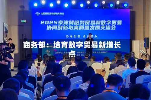 商务部:培育数字贸易新增长点-第2张图片
