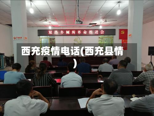 西充疫情电话(西充县情)