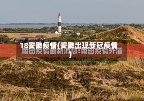18安徽疫情(安徽出现新冠疫情)-第2张图片