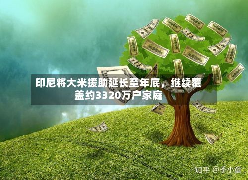 印尼将大米援助延长至年底，继续覆盖约3320万户家庭-第2张图片