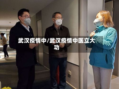武汉疫情中/武汉疫情中医立大功