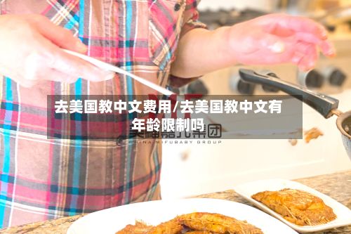 去美国教中文费用/去美国教中文有年龄限制吗-第3张图片