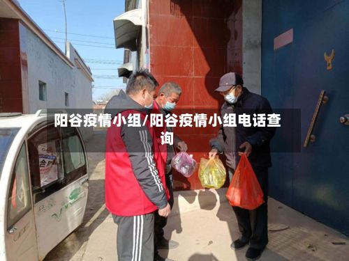 阳谷疫情小组/阳谷疫情小组电话查询