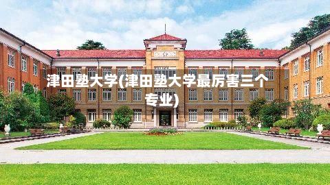 津田塾大学(津田塾大学最厉害三个专业)