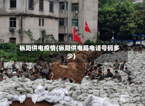 枞阳供电疫情(枞阳供电局电话号码多少)