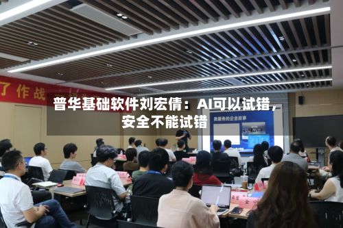 普华基础软件刘宏倩：AI可以试错	，安全不能试错-第2张图片