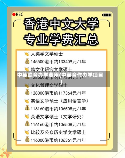 中英联合办学费用(中英合作办学项目)-第3张图片