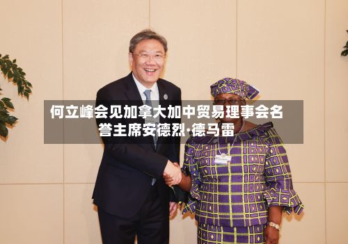 何立峰会见加拿大加中贸易理事会名誉主席安德烈·德马雷