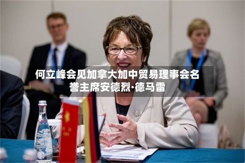 何立峰会见加拿大加中贸易理事会名誉主席安德烈·德马雷-第2张图片
