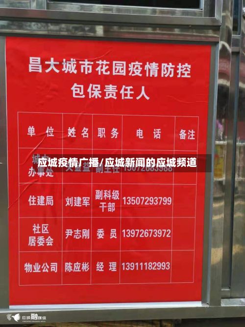 应城疫情广播/应城新闻的应城频道