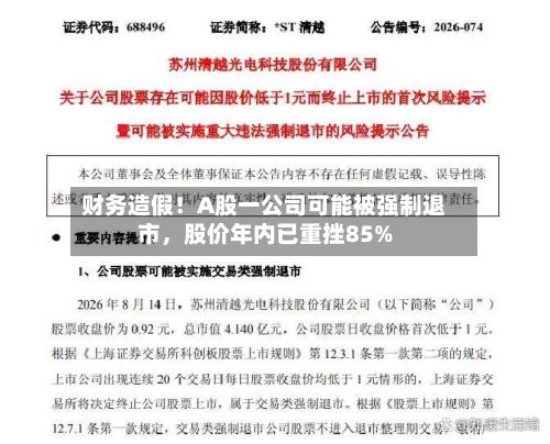 财务造假！A股一公司可能被强制退市，股价年内已重挫85%-第2张图片