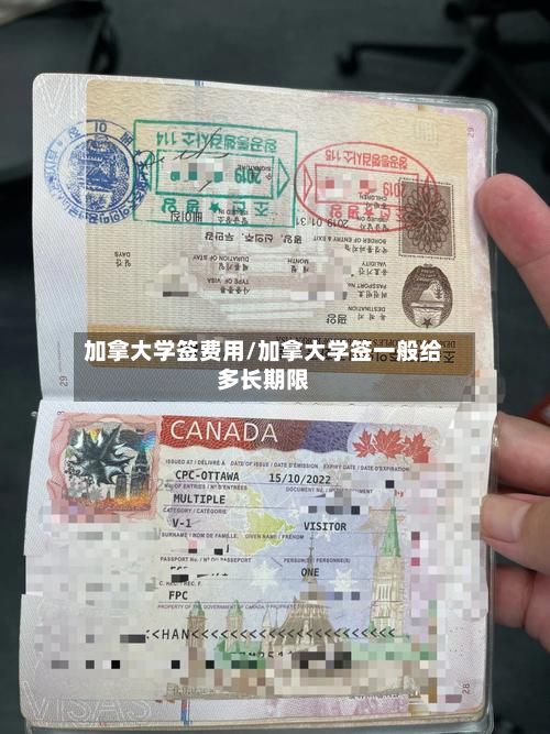加拿大学签费用/加拿大学签一般给多长期限-第3张图片