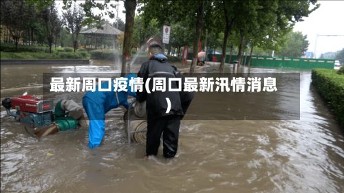 最新周口疫情(周口最新汛情消息)