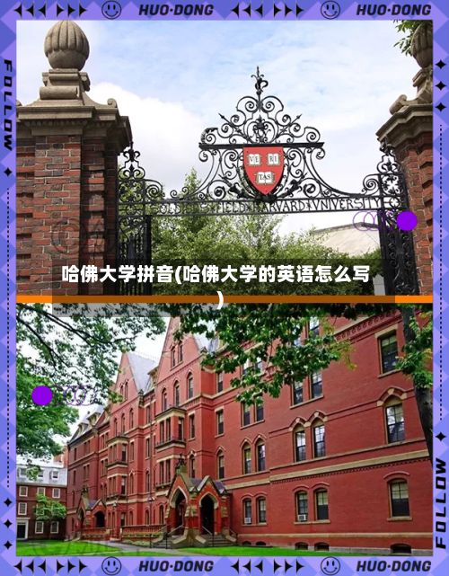 哈佛大学拼音(哈佛大学的英语怎么写)
