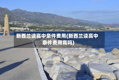 新西兰读高中条件费用(新西兰读高中条件费用高吗)-第3张图片