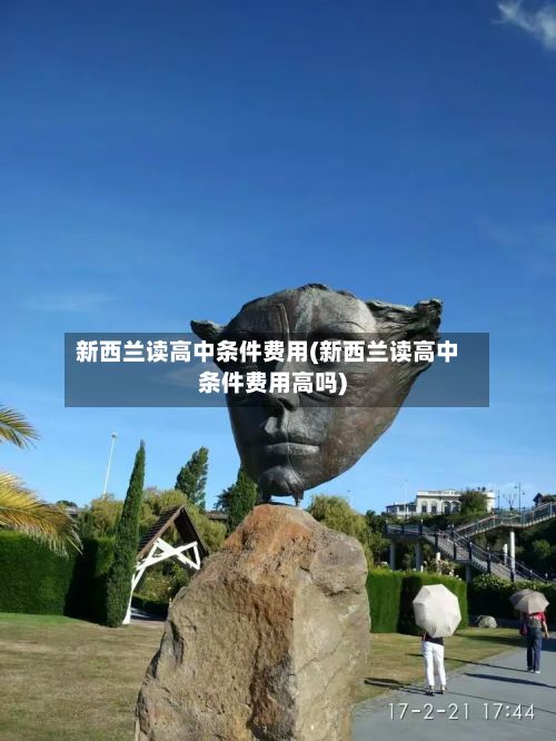 新西兰读高中条件费用(新西兰读高中条件费用高吗)