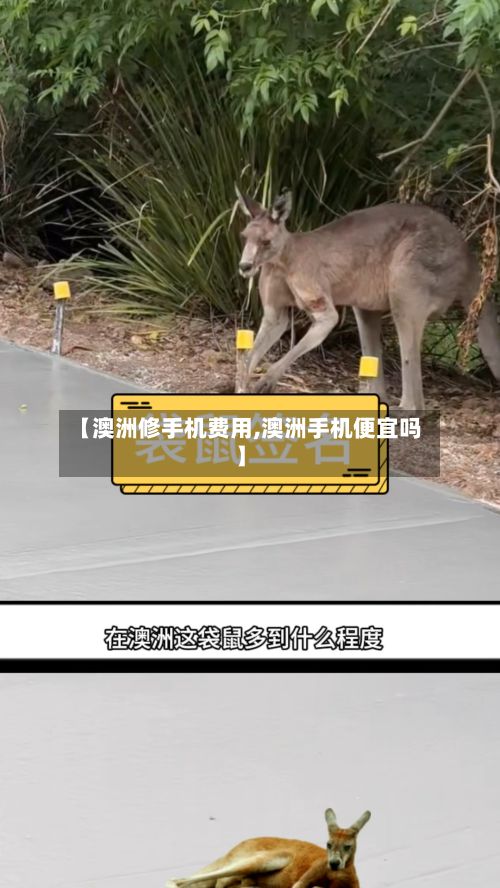 【澳洲修手机费用,澳洲手机便宜吗】