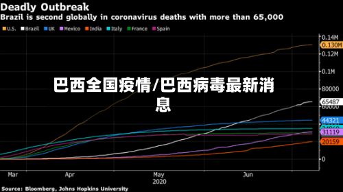 巴西全国疫情/巴西病毒最新消息