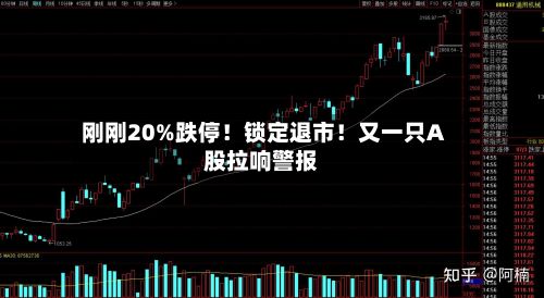 刚刚20%跌停!锁定退市!又一只A股拉响警报