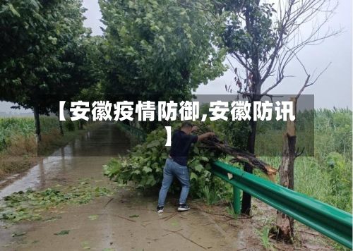 【安徽疫情防御,安徽防讯】-第2张图片
