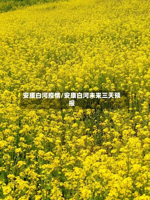安康白河疫情/安康白河未来三天预报-第3张图片