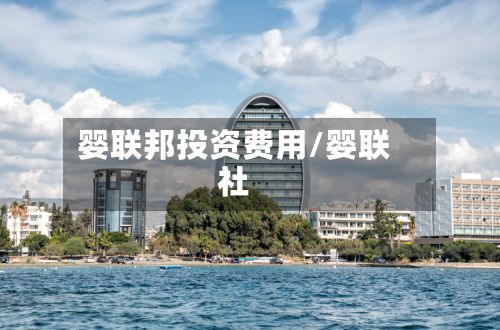 婴联邦投资费用/婴联社-第3张图片