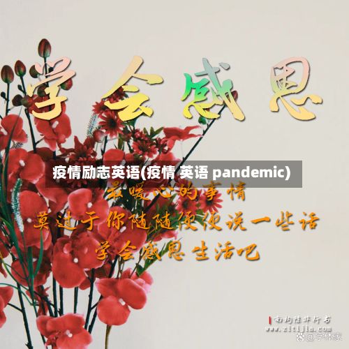 疫情励志英语(疫情 英语 pandemic)