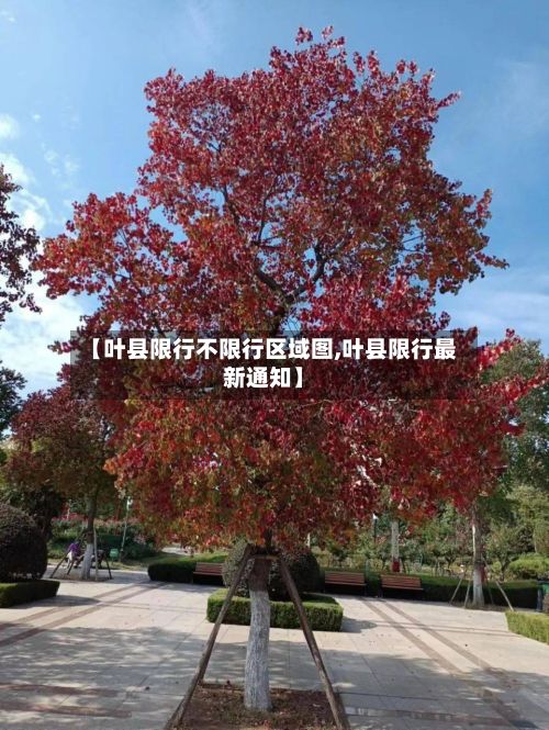 【叶县限行不限行区域图,叶县限行最新通知】-第2张图片