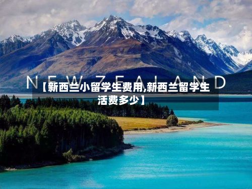 【新西兰小留学生费用,新西兰留学生活费多少】-第2张图片
