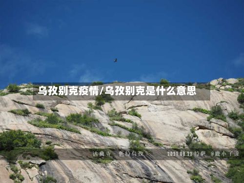 乌孜别克疫情/乌孜别克是什么意思-第2张图片