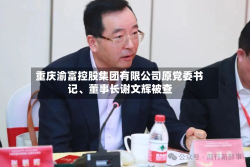 重庆渝富控股集团有限公司原党委书记、董事长谢文辉被查
