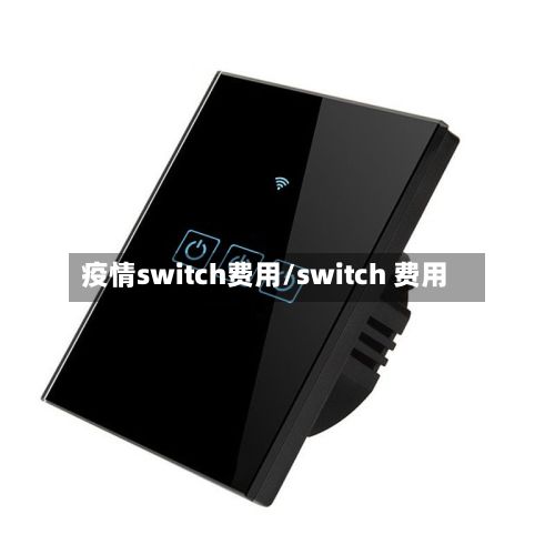 疫情switch费用/switch 费用-第2张图片
