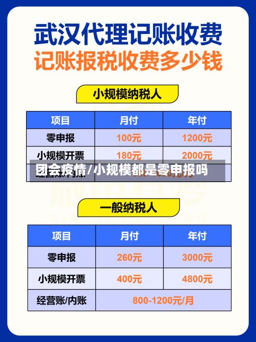 团会疫情/小规模都是零申报吗