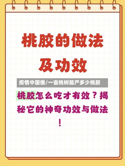 疫情中国俄/一亩桃树能产多少桃胶-第2张图片