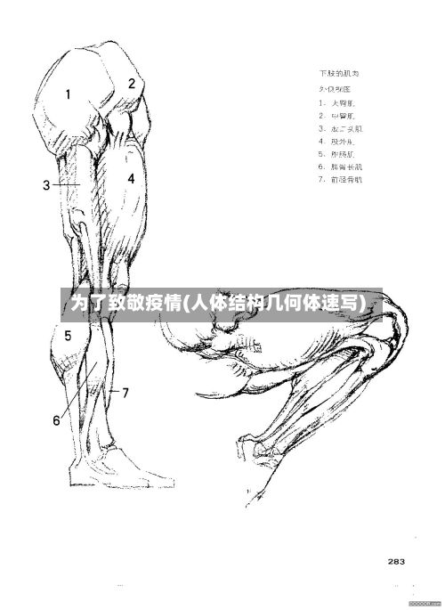 为了致敬疫情(人体结构几何体速写)