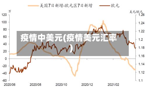 疫情中美元(疫情美元汇率)