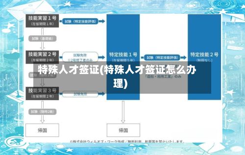 特殊人才签证(特殊人才签证怎么办理)