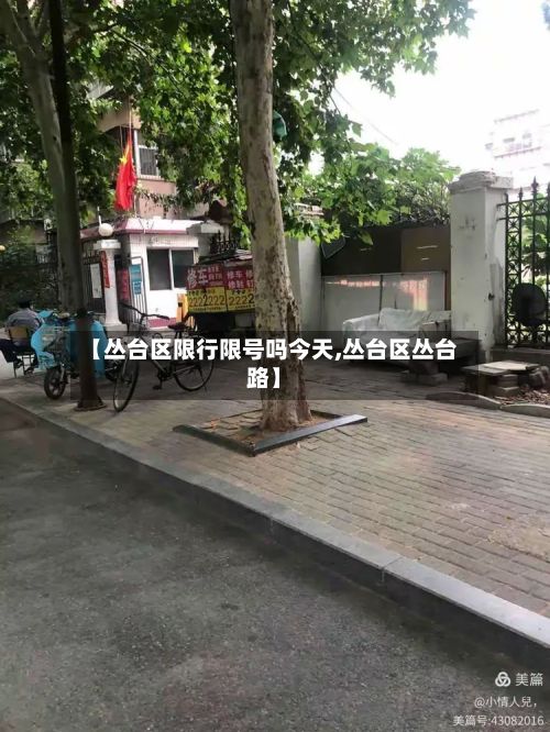 【丛台区限行限号吗今天,丛台区丛台路】-第3张图片